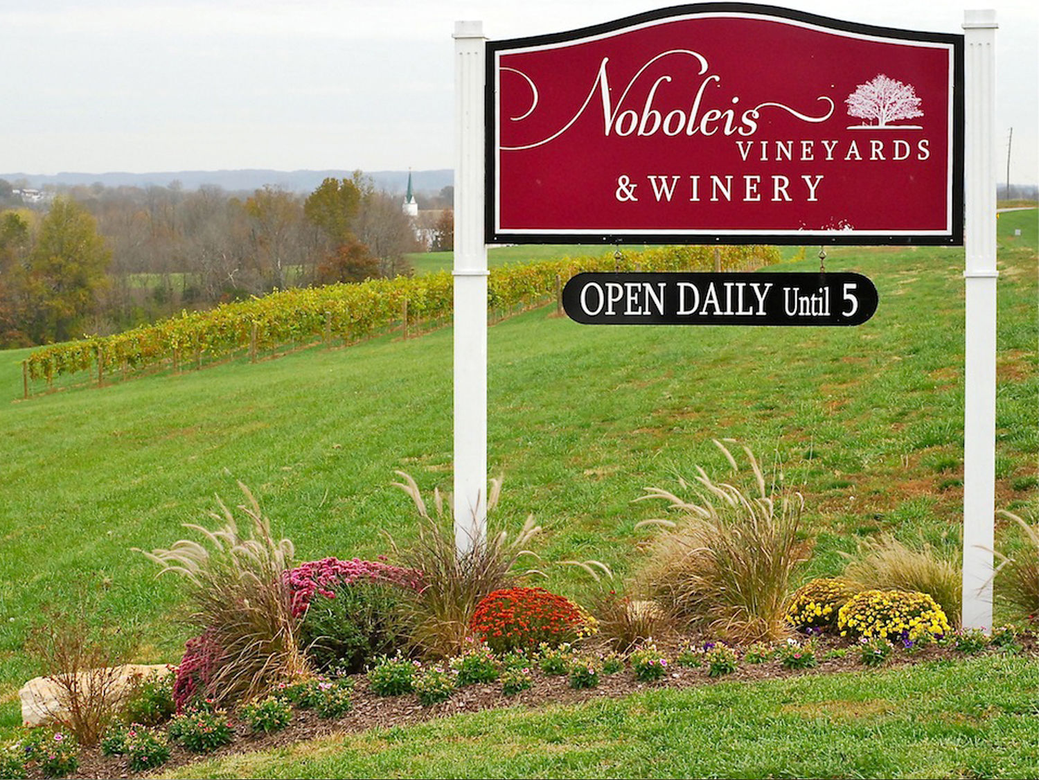 Spotlight: Noboleis Vineyards